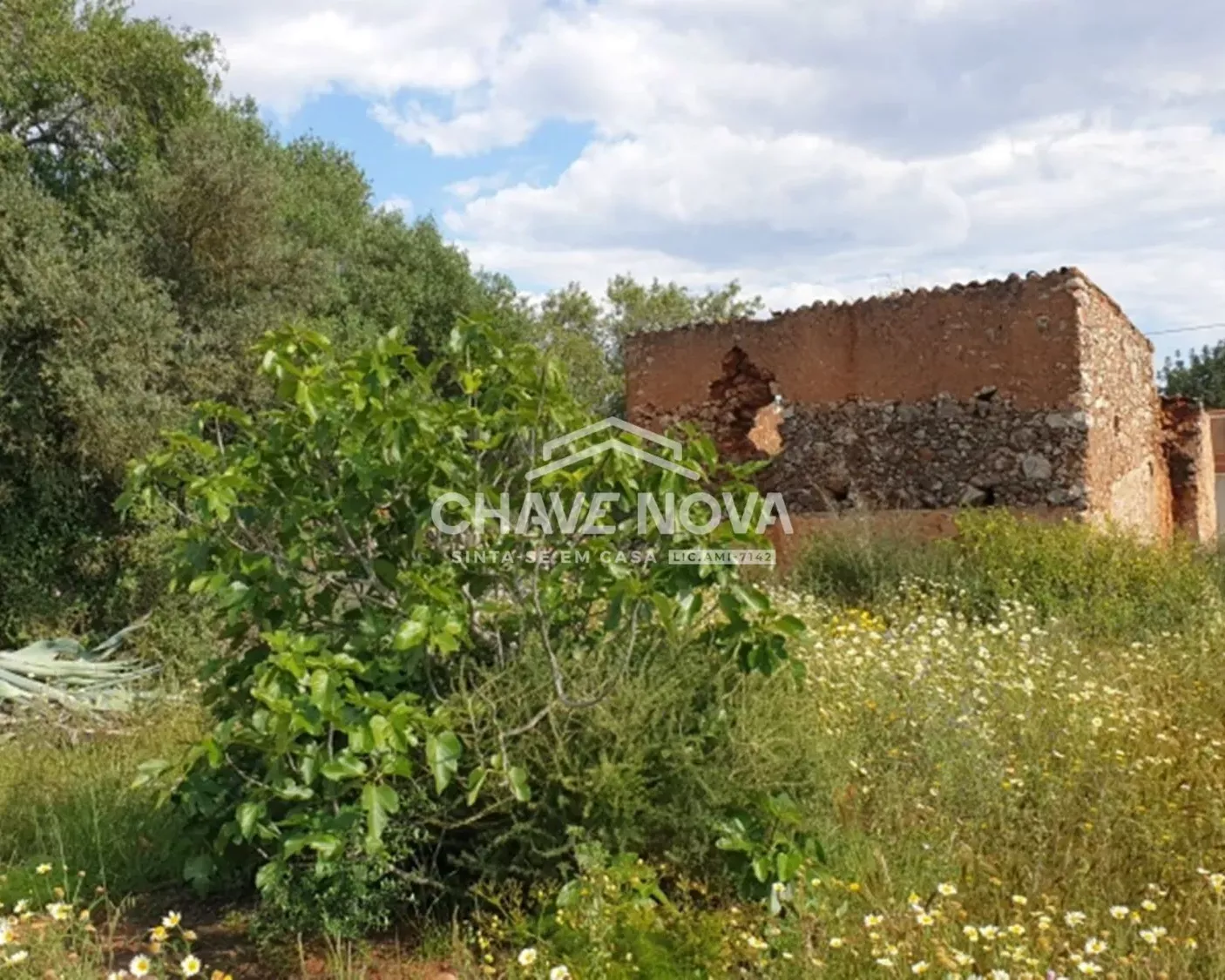 Terreno Projeto Aprovado Silves Algarve GN/01621