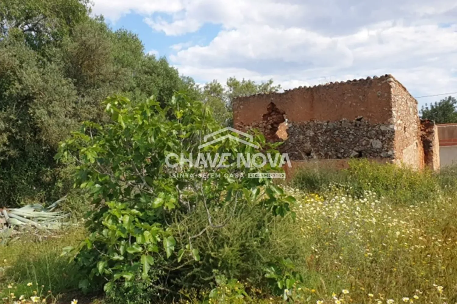 Terreno Projeto Aprovado Silves Algarve GN/01621