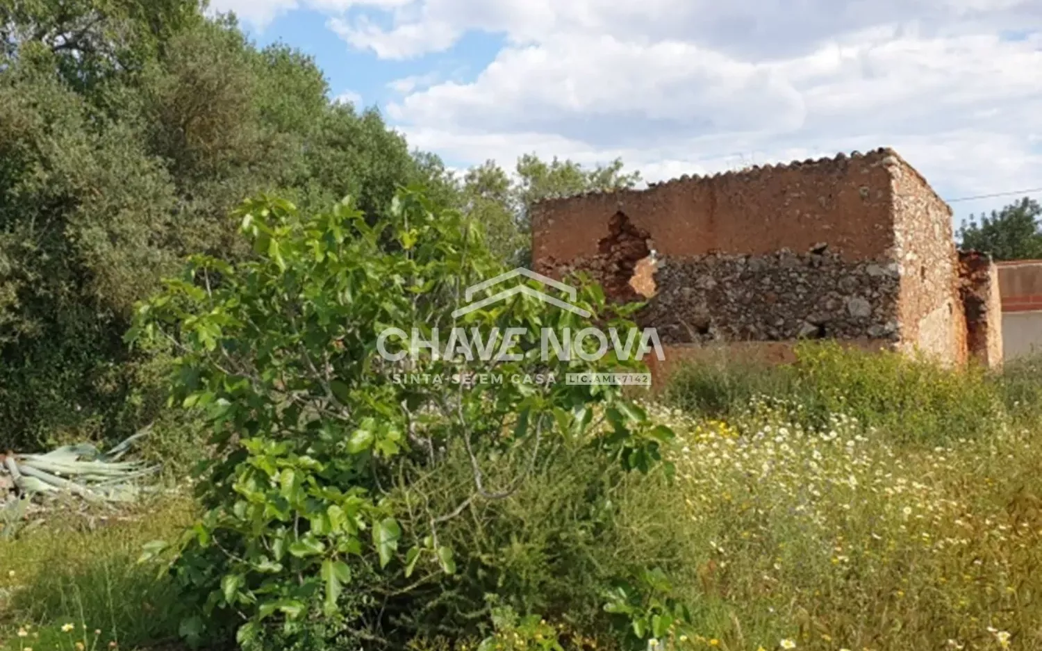 Terreno Projeto Aprovado Silves Algarve GN/01621
