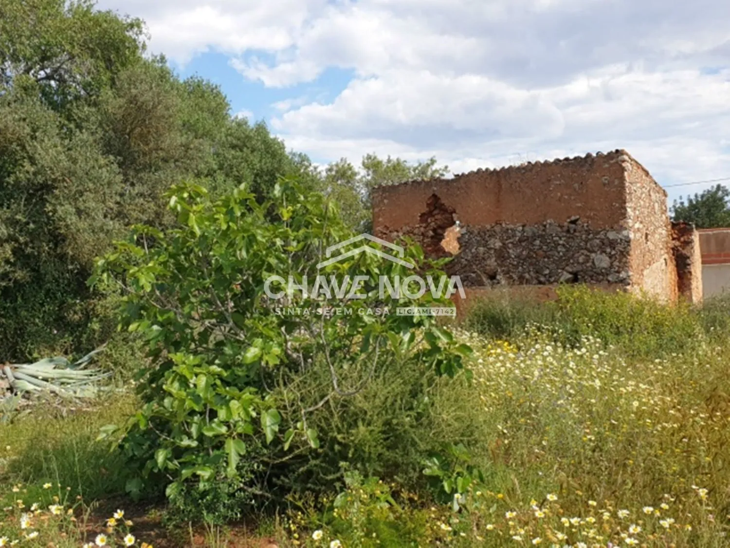 Terreno Projeto Aprovado Silves Algarve GN/01621