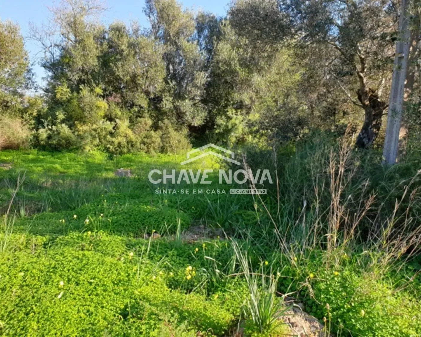 Terreno Projeto Aprovado Silves Algarve GN/01621