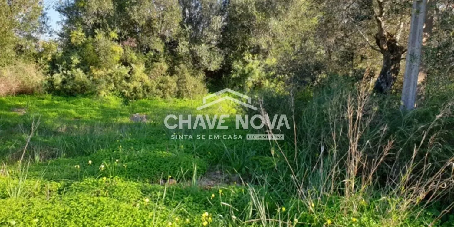 Terreno Projeto Aprovado Silves Algarve GN/01621