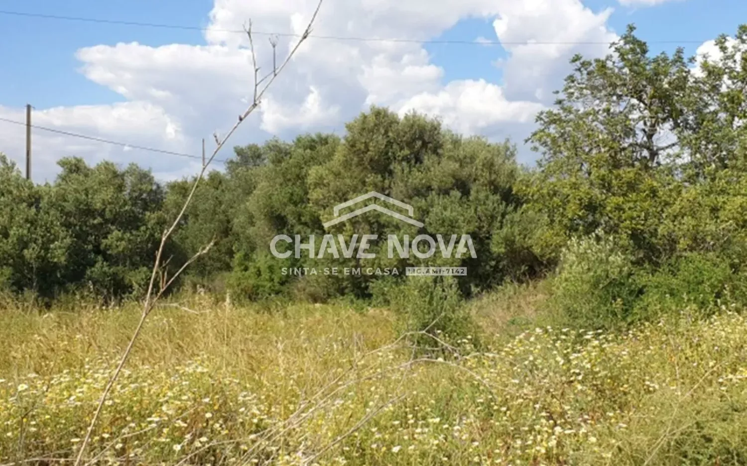 Terreno Projeto Aprovado Silves Algarve GN/01621